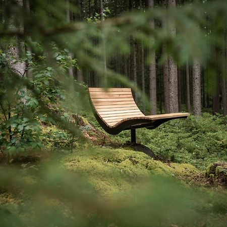 Forstgut - Premium Waldchalets Und Lodge Suiten Regen Eksteriør billede