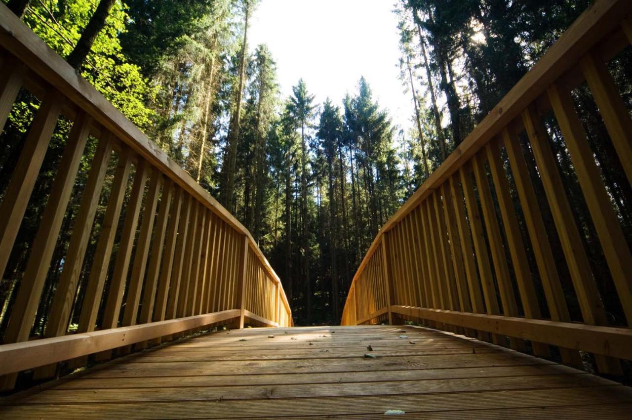 Forstgut - Premium Waldchalets Und Lodge Suiten Regen Eksteriør billede