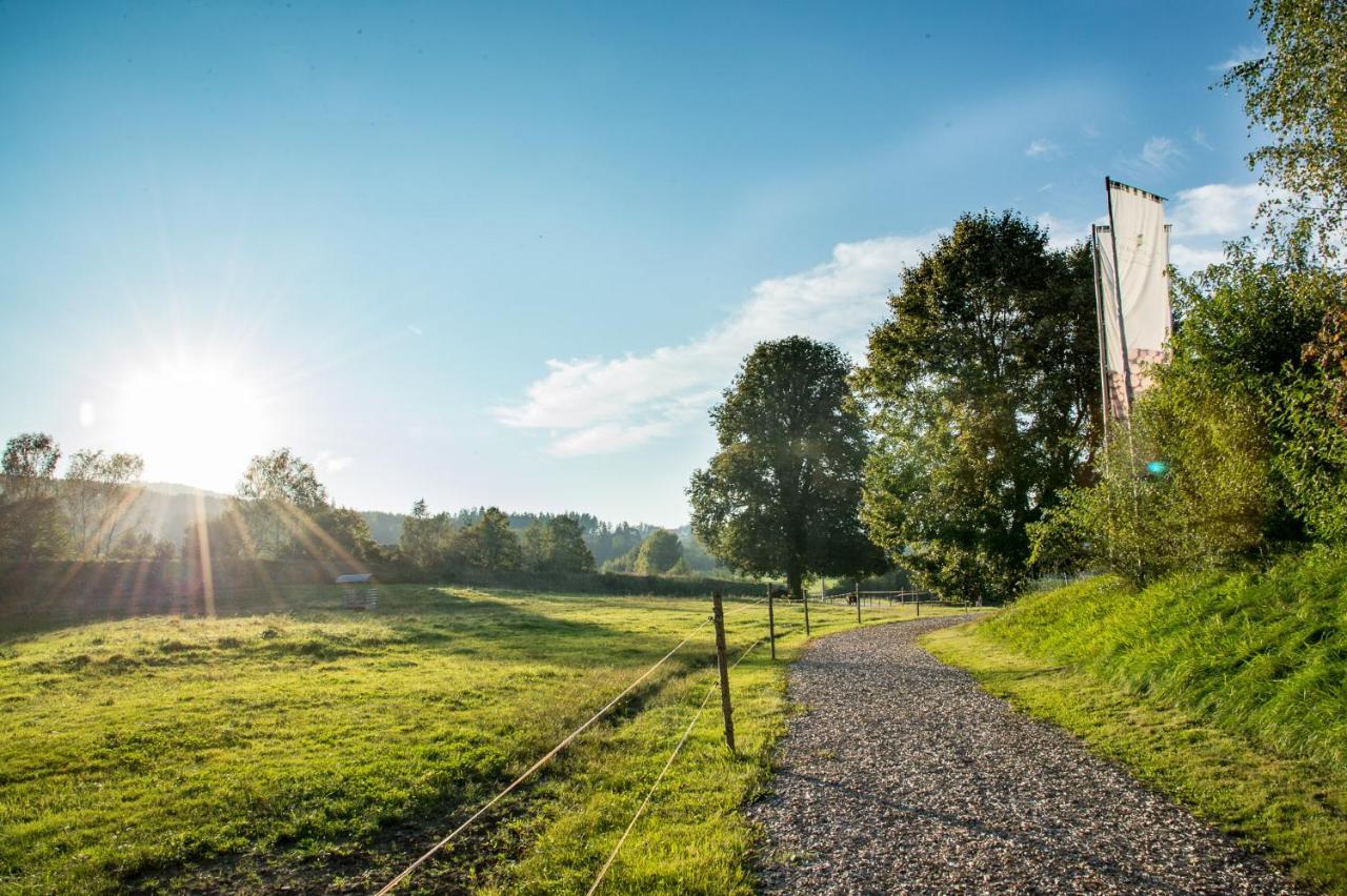 Forstgut - Premium Waldchalets Und Lodge Suiten Regen Eksteriør billede