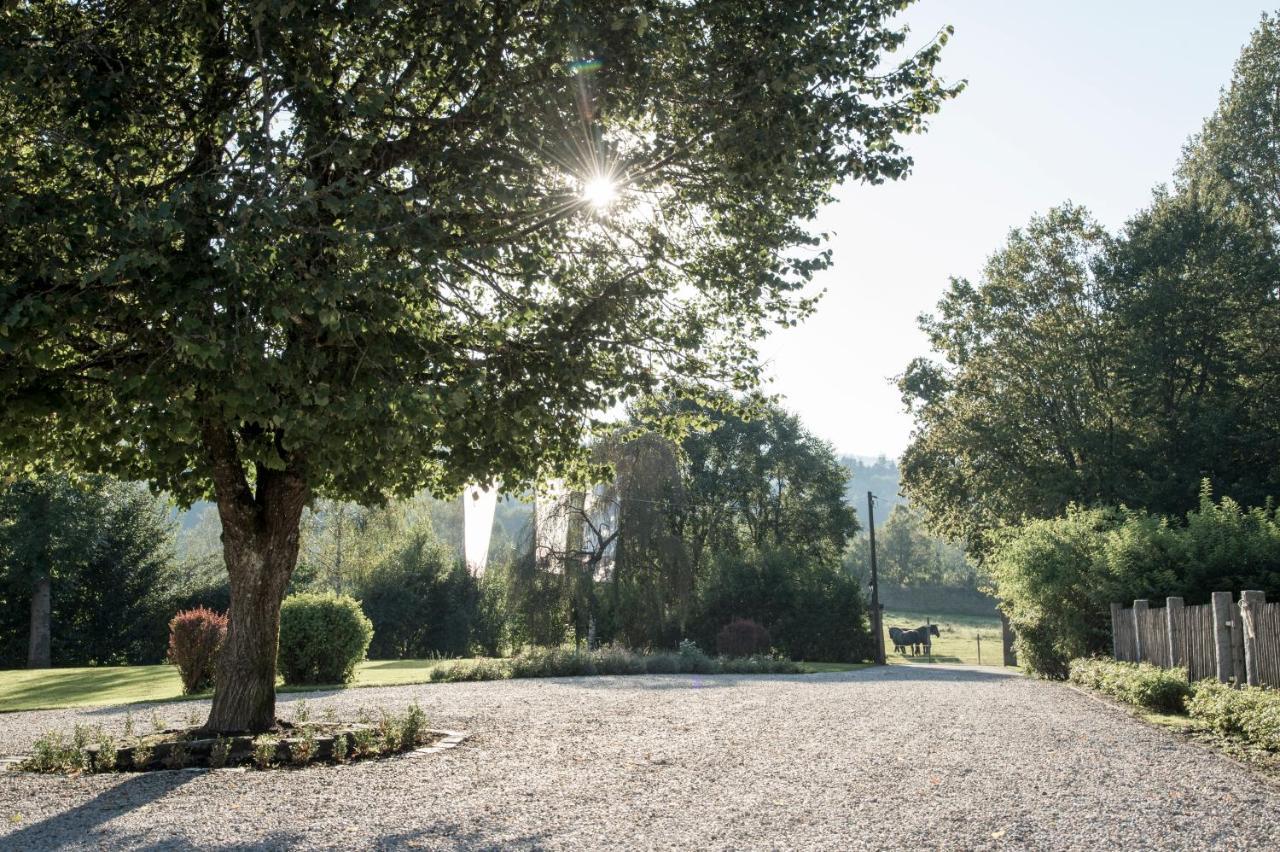 Forstgut - Premium Waldchalets Und Lodge Suiten Regen Eksteriør billede