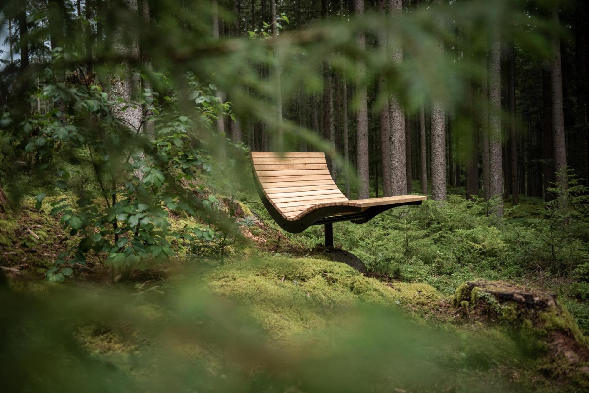 Forstgut - Premium Waldchalets Und Lodge Suiten Regen Eksteriør billede
